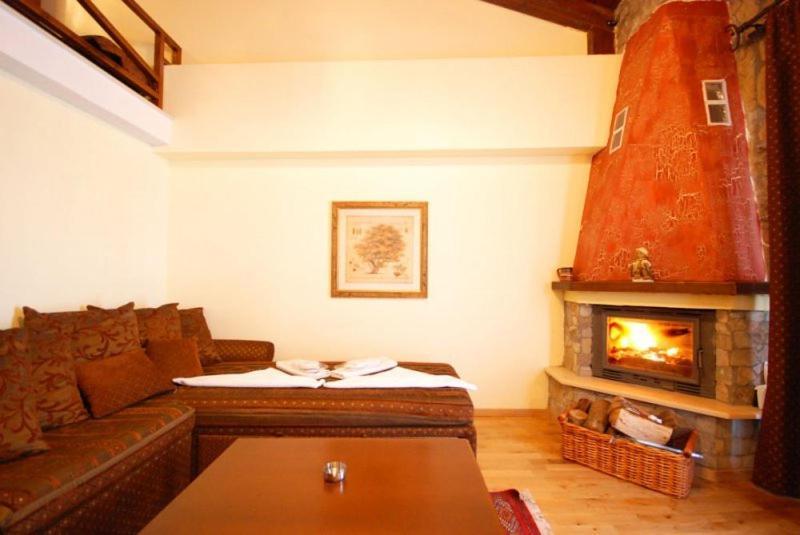 Vasilitsa Spa Resort Grevena Værelse billede