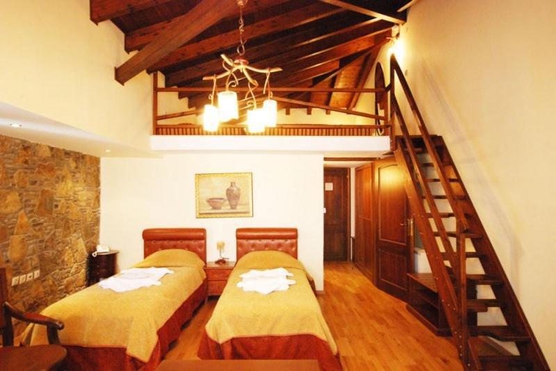 Vasilitsa Spa Resort Grevena Værelse billede