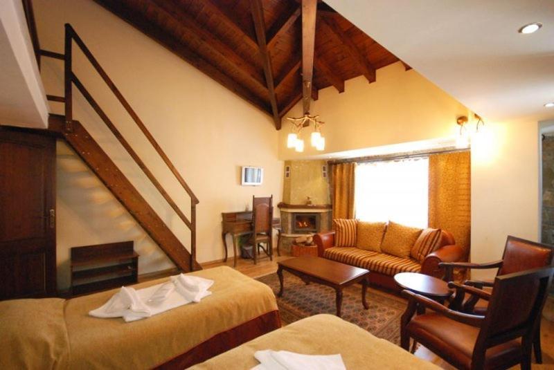 Vasilitsa Spa Resort Grevena Værelse billede