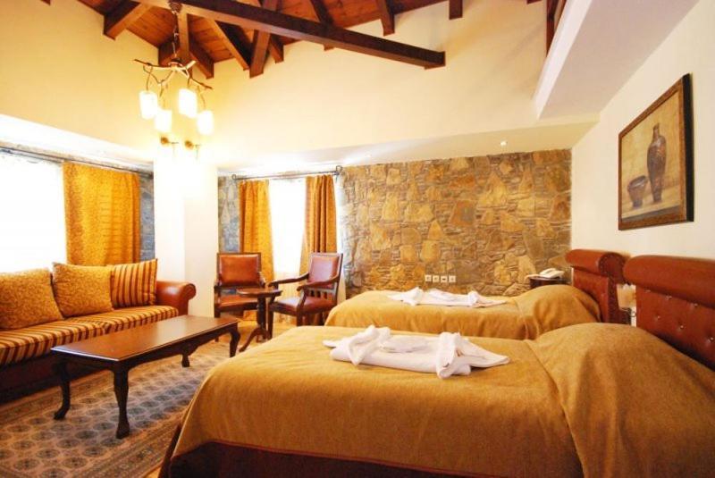 Vasilitsa Spa Resort Grevena Værelse billede