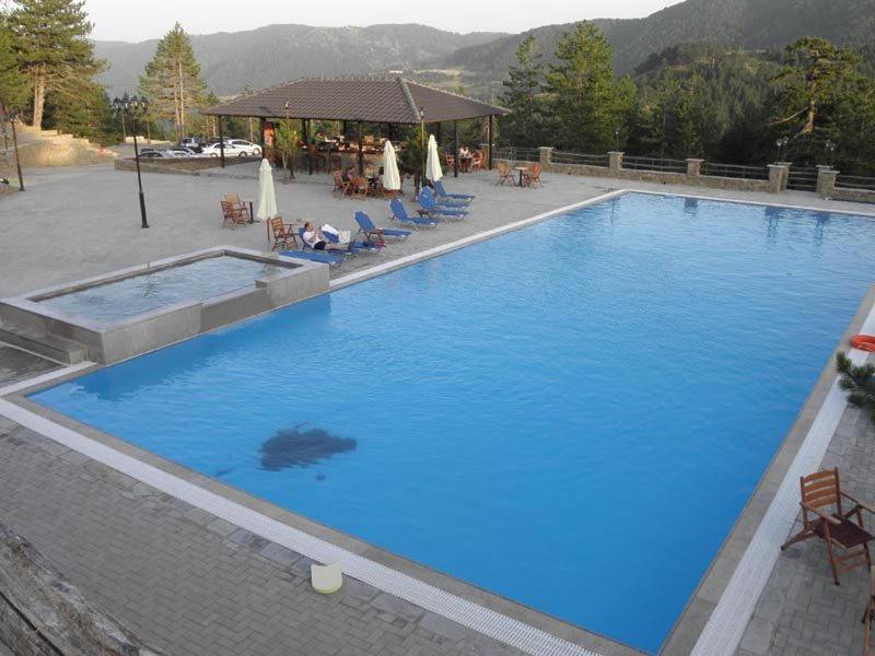Vasilitsa Spa Resort Grevena Eksteriør billede